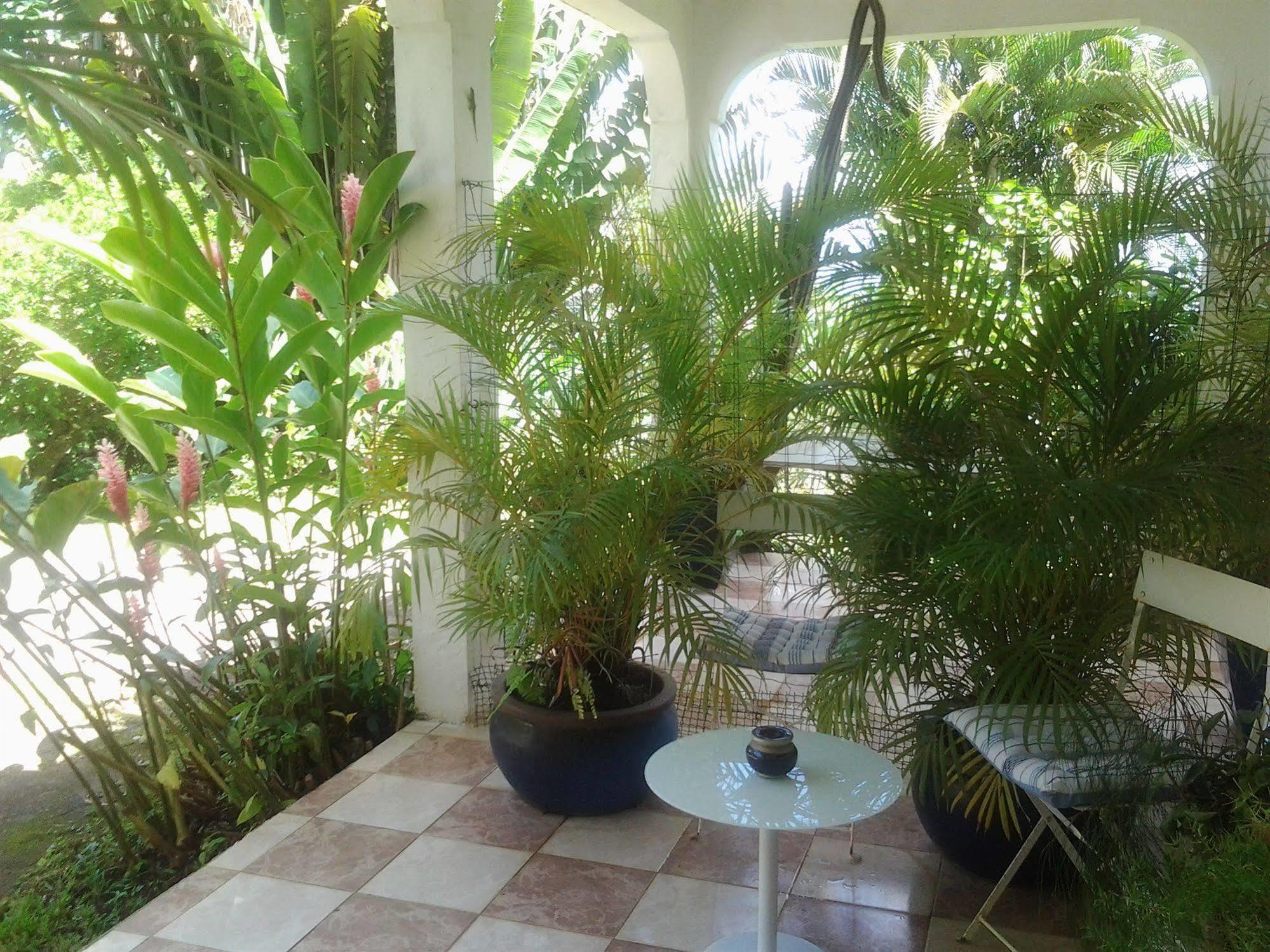 Villa Galerie Les Anses-d'Arlets Esterno foto